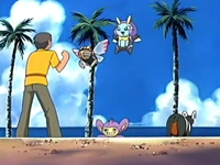 EP398 Coordinadores Pokémon (2)