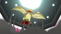 Imagen de Pidgeot