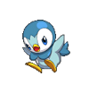 Piplup