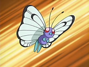 EP428 Butterfree de Jeremy