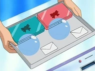 Una vez cumplido ese paso, se entregarán las cápsulas, que son las esferas transparentes. Como además es la primera vez también se da el estuche para guardar las cintas/listones y un pase de concurso.