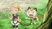Imagen de Meowth del Team/Equipo Rocket