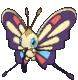 Imagen de Beautifly variocolor macho en Pokémon X, Pokémon Y, Pokémon Rubí Omega, Pokémon Zafiro Alfa, Pokémon Sol y Pokémon Luna
