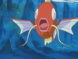EH14 Magikarp