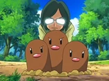 Imagen de Dugtrio