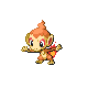 Chimchar DP 2