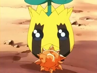 Un Sunkern frente a la piedra solar en el EP189.