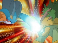 EP578 Swampert usando puñodinámico sobre Grotle.png (51 kB) Un Swampert usando puño dinámico contra el Grotle de Ash.