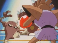 Hitmonlee de Gigante usando megapatada contra el Hitmonchan de Anthony.