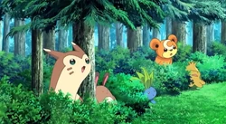 EE12 Pokémon del bosque