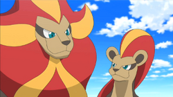 Pyroar y su evolución