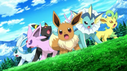 Equipo de rescate Eevee.