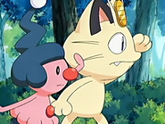 EP431 Meowth y Mime Jr.