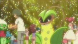 EP863 Roserade y Victreebel