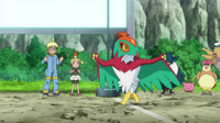 Hawlucha de Ash, Pidgeotto, Shedinja, Honchkrow y Hoppip.