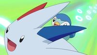 Piplup sobre Togekiss.