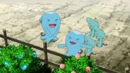 EP867 Wobbuffet y Wynaut juntos