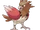 Spearow