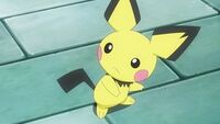 Pikachu vuelve a ser un Pichu en la vigesimocuarta temporada.