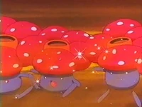 EP241 Bellossom y Vileplume usando el ataque