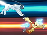 EP459 Absol VS Combusken