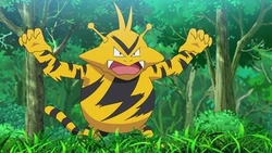 EP1119 Electabuzz de Tony