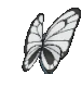 Imagen posterior de Butterfree hembra en la sexta y séptima generación