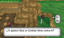 Combate aéreo XY