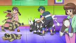 EP743 Pokemon afectados (2)