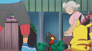 EP950 Frutera dando una baya aranja a Litten