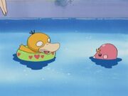 EH16 Psyduck de Misty y Luverin