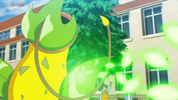 Ropa Geek 👾🎮🕹 on Instagram: Victreebel es un Pokémon de tipo planta/ veneno introducido en la primera generación. Es la evolución de Weepinbell  y la contraparte de Vileplume. Está inspirado en la planta