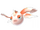 Goldeen GO.png