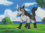 Imagen de Mightyena