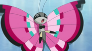 EP810 Vivillon debilitado