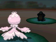 Frillish usando tinieblas en Pokémon Negro y Blanco.