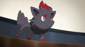 Zorua - WikiDex, la enciclopedia Pokémon