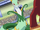 EP752 Serperior vs Darmanitan.png