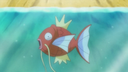 EP826 Magikarp