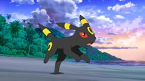 Imagen de Umbreon de Gladion/Gladio