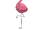 Flamigo