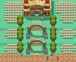 Oro HeartGold y Plata SoulSilver