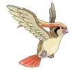 Pidgeot
