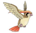 Pidgeot