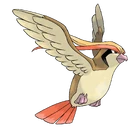 Pidgeot
