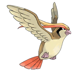 Pidgeot