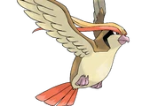 Pidgeot