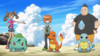 EP844 Equipo Squirtle