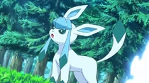 Imagen de Glaceon
