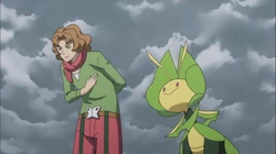 GEN13 Camus y Leavanny